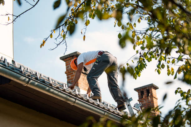 Roof Repair Estimates in Thomasville, GA
